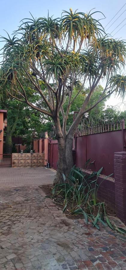 My House Guest House Pretoria Exterior photo