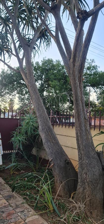 My House Guest House Pretoria Exterior photo